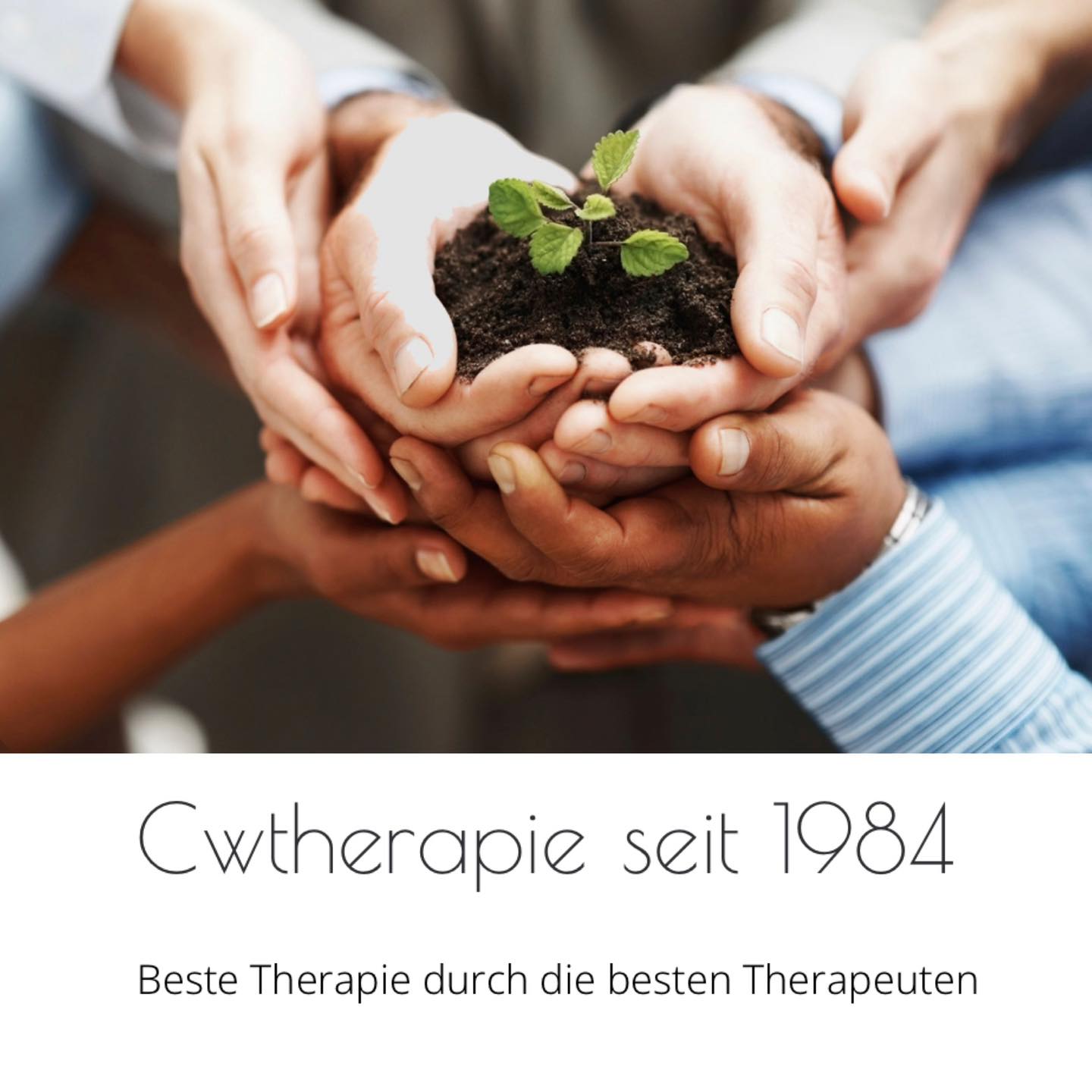 Cwtherapie seit 1984 - Beste Therapie durch die besten Therapeuten